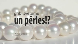 Gribi svētumu un pērles!? | Vilnis Gleške